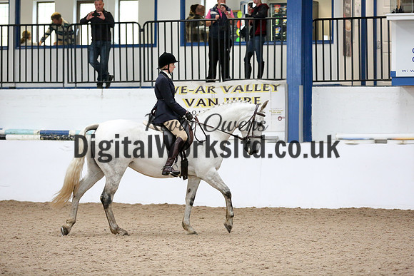 NECWPCA-SUMMER-WELSH-SILVER-MEDAL-SHOW (22 of 315)