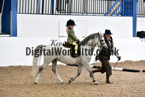 NECWPCA-SUMMER-WELSH-SILVER-MEDAL-SHOW (1 of 334)