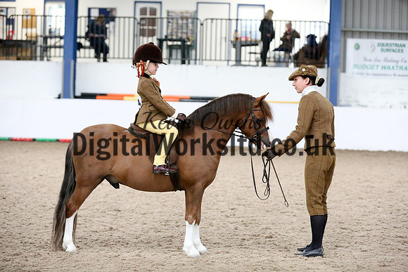 NECWPCA-SUMMER-WELSH-SILVER-MEDAL-SHOW (102 of 325)