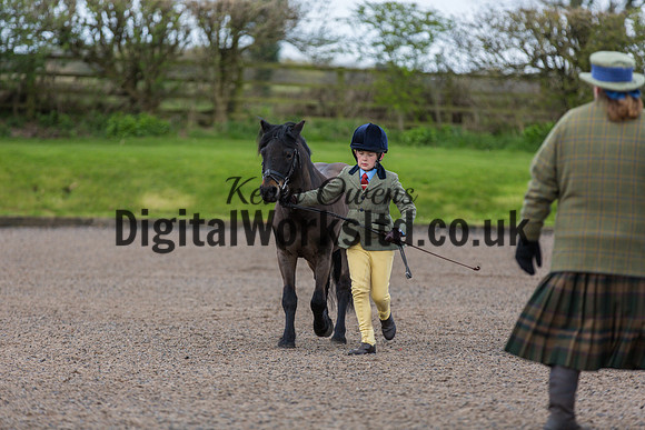 BDH-Point-to-Point-24