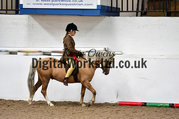 NECWPCA-SUMMER-WELSH-SILVER-MEDAL-SHOW (55 of 92)