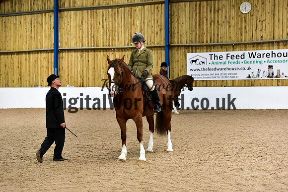 NECWPCA-SUMMER-WELSH-SILVER-MEDAL-SHOW (10 of 92)