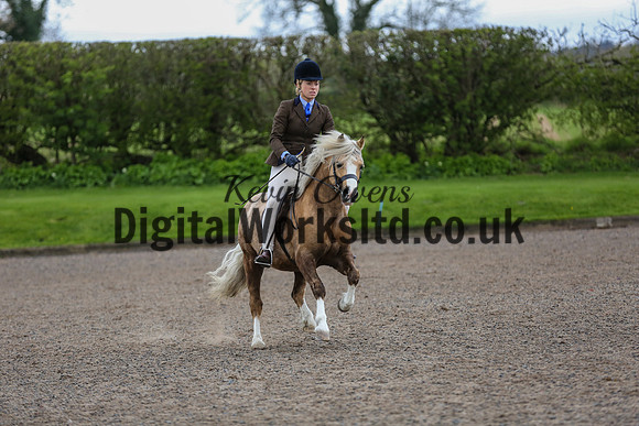 BDH-Point-to-Point-191