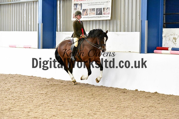 NECWPCA-SUMMER-WELSH-SILVER-MEDAL-SHOW (164 of 325)