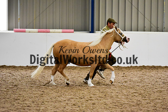 NECWPCA-SUMMER-WELSH-SILVER-MEDAL-SHOW (24 of 46)