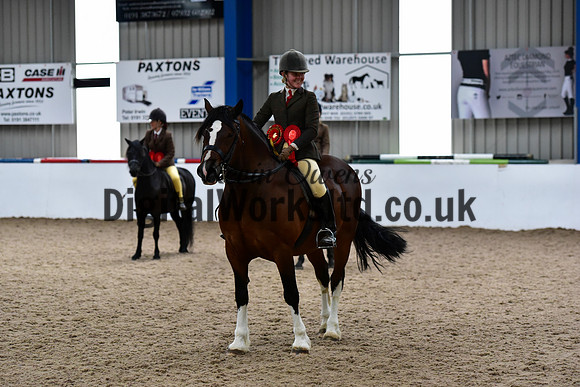 NECWPCA-SUMMER-WELSH-SILVER-MEDAL-SHOW (200 of 325)