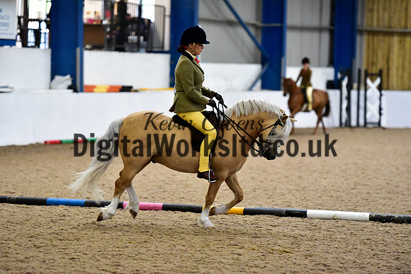 NECWPCA-SUMMER-WELSH-SILVER-MEDAL-SHOW (79 of 325)