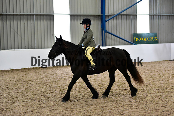 NECWPCA-SUMMER-WELSH-SILVER-MEDAL-SHOW (84 of 419)