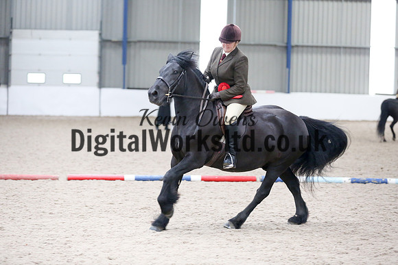 NECWPCA-SUMMER-WELSH-SILVER-MEDAL-SHOW (141 of 315)