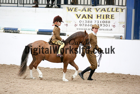 NECWPCA-SUMMER-WELSH-SILVER-MEDAL-SHOW (97 of 325)