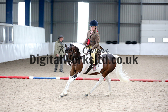 NECWPCA-SUMMER-WELSH-SILVER-MEDAL-SHOW (136 of 315)
