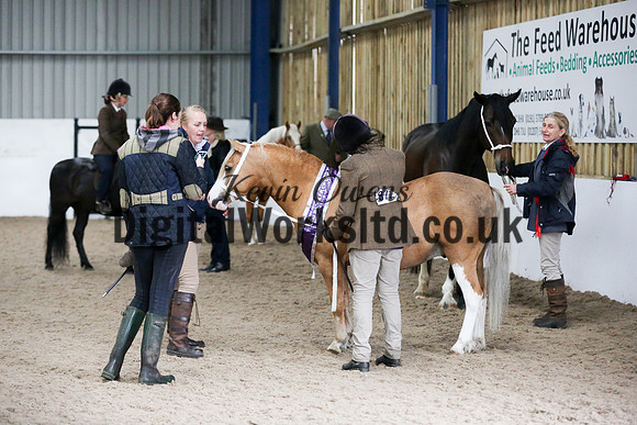 NECWPCA-SUMMER-WELSH-SILVER-MEDAL-SHOW (11 of 75)