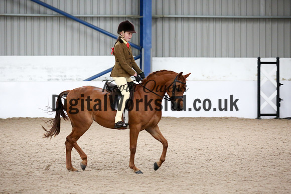 NECWPCA-SUMMER-WELSH-SILVER-MEDAL-SHOW (7 of 315)
