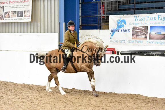 NECWPCA-SUMMER-WELSH-SILVER-MEDAL-SHOW (167 of 325)