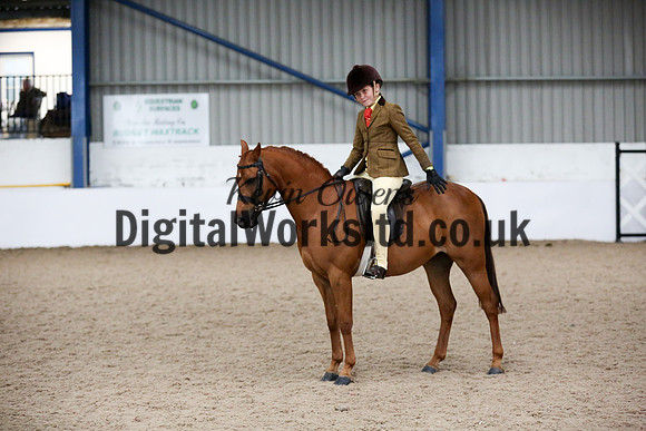 NECWPCA-SUMMER-WELSH-SILVER-MEDAL-SHOW (81 of 325)