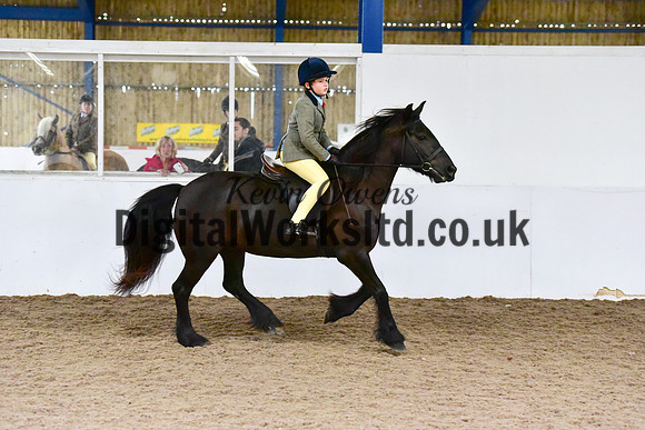 NECWPCA-SUMMER-WELSH-SILVER-MEDAL-SHOW (86 of 419)