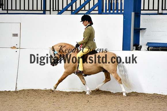 NECWPCA-SUMMER-WELSH-SILVER-MEDAL-SHOW (74 of 92)