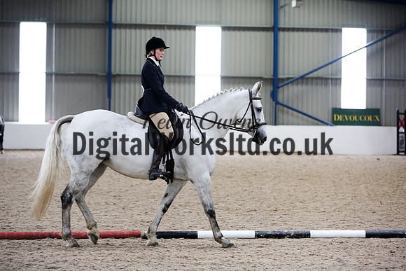 NECWPCA-SUMMER-WELSH-SILVER-MEDAL-SHOW (92 of 315)