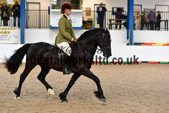 NECWPCA-SUMMER-WELSH-SILVER-MEDAL-SHOW (16 of 92)