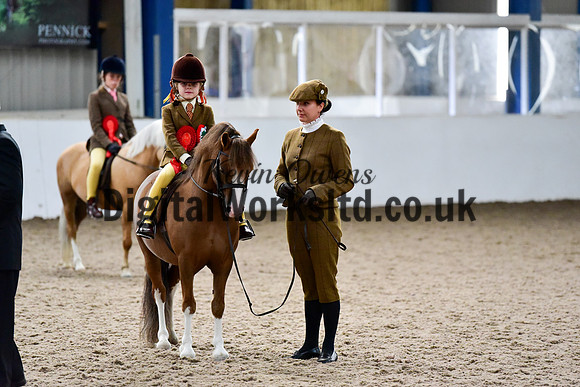 NECWPCA-SUMMER-WELSH-SILVER-MEDAL-SHOW (89 of 92)