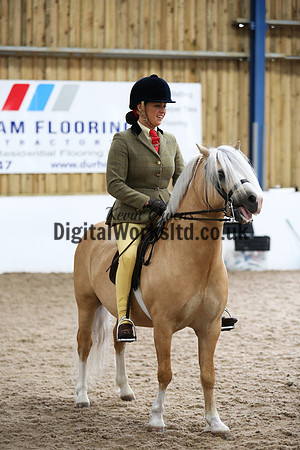 NECWPCA-SUMMER-WELSH-SILVER-MEDAL-SHOW (203 of 315)