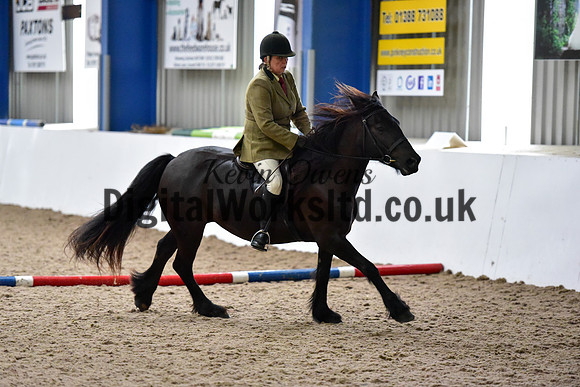 NECWPCA-SUMMER-WELSH-SILVER-MEDAL-SHOW (208 of 315)