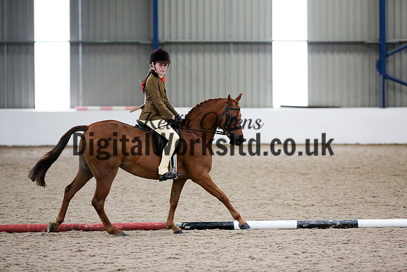 NECWPCA-SUMMER-WELSH-SILVER-MEDAL-SHOW (64 of 325)
