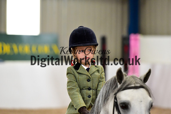 NECWPCA-SUMMER-WELSH-SILVER-MEDAL-SHOW (3 of 419)