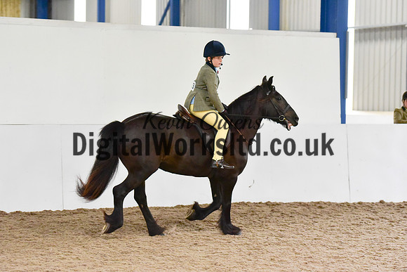 NECWPCA-SUMMER-WELSH-SILVER-MEDAL-SHOW (65 of 419)