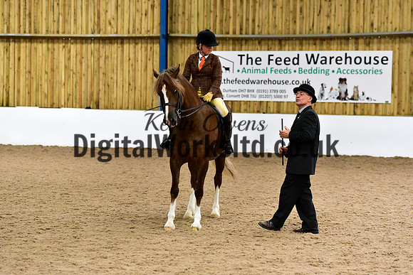 NECWPCA-SUMMER-WELSH-SILVER-MEDAL-SHOW (1 of 92)