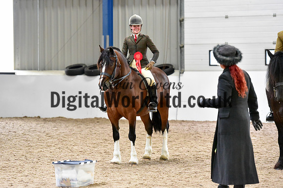 NECWPCA-SUMMER-WELSH-SILVER-MEDAL-SHOW (160 of 325)