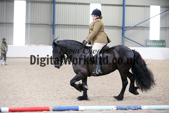 NECWPCA-SUMMER-WELSH-SILVER-MEDAL-SHOW (134 of 325)