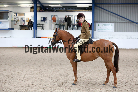 NECWPCA-SUMMER-WELSH-SILVER-MEDAL-SHOW (12 of 315)