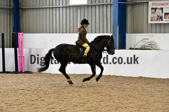 NECWPCA-SUMMER-WELSH-SILVER-MEDAL-SHOW (17 of 315)