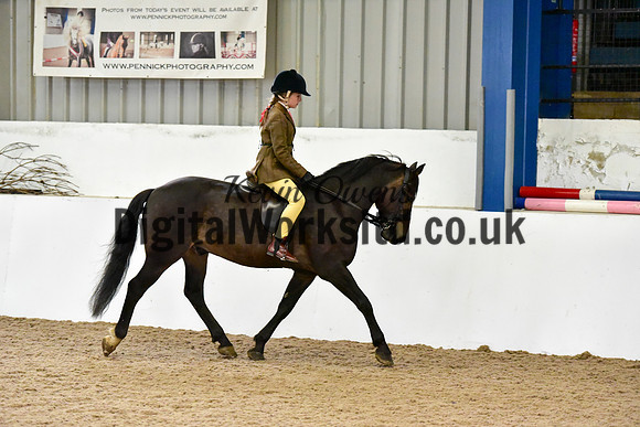 NECWPCA-SUMMER-WELSH-SILVER-MEDAL-SHOW (13 of 315)