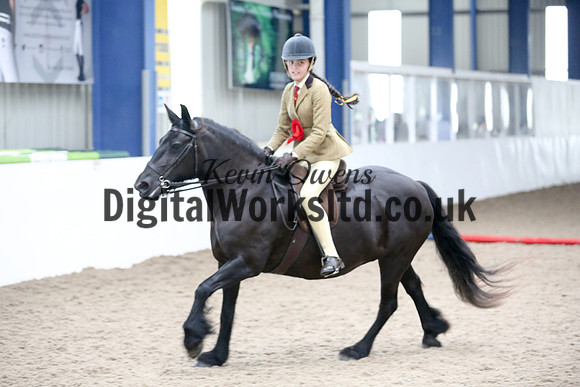 NECWPCA-SUMMER-WELSH-SILVER-MEDAL-SHOW (135 of 315)