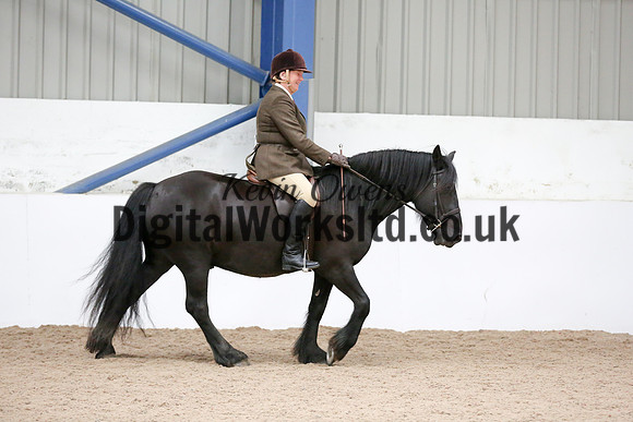 NECWPCA-SUMMER-WELSH-SILVER-MEDAL-SHOW (3 of 334)
