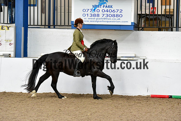 NECWPCA-SUMMER-WELSH-SILVER-MEDAL-SHOW (70 of 92)