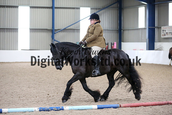 NECWPCA-SUMMER-WELSH-SILVER-MEDAL-SHOW (125 of 325)