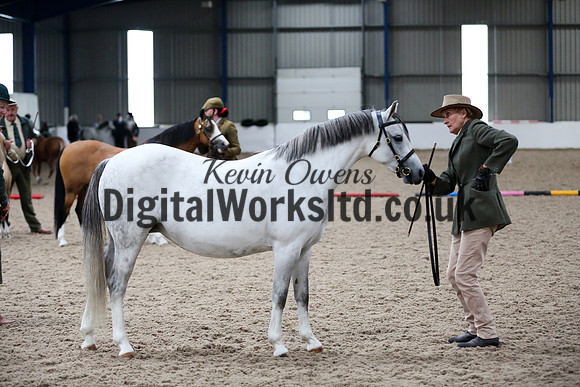 NECWPCA-SUMMER-WELSH-SILVER-MEDAL-SHOW (48 of 427)