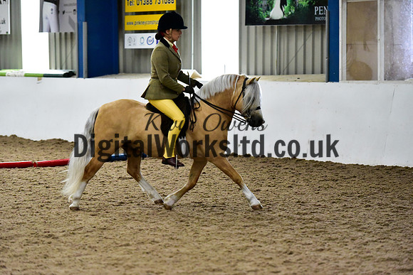 NECWPCA-SUMMER-WELSH-SILVER-MEDAL-SHOW (77 of 325)