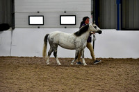 NECWPCA-SUMMER-WELSH-SILVER-MEDAL-SHOW (5 of 412)