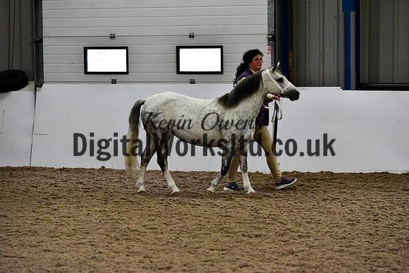 NECWPCA-SUMMER-WELSH-SILVER-MEDAL-SHOW (5 of 412)