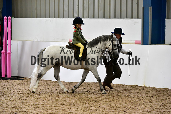 NECWPCA-SUMMER-WELSH-SILVER-MEDAL-SHOW (6 of 135)
