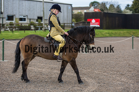 BDH-Point-to-Point-13