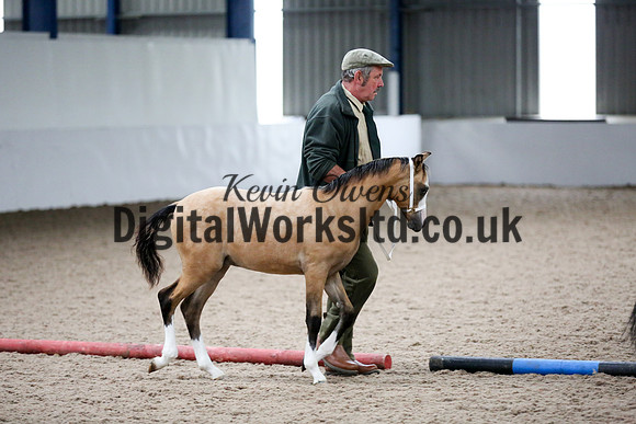 NECWPCA-SUMMER-WELSH-SILVER-MEDAL-SHOW (23 of 427)