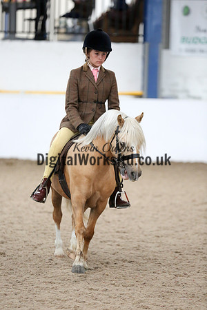 NECWPCA-SUMMER-WELSH-SILVER-MEDAL-SHOW (41 of 325)