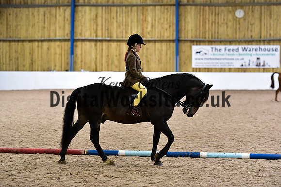 NECWPCA-SUMMER-WELSH-SILVER-MEDAL-SHOW (10 of 315)