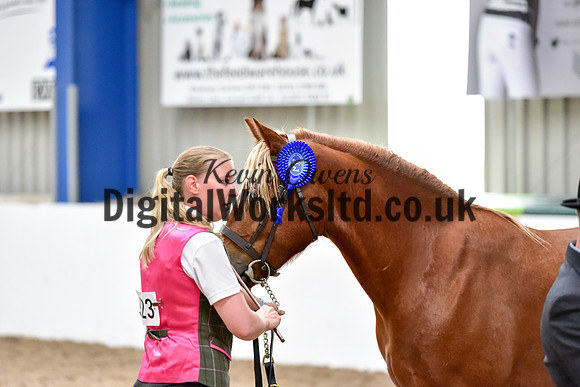 NECWPCA-SUMMER-WELSH-SILVER-MEDAL-SHOW (6 of 46)