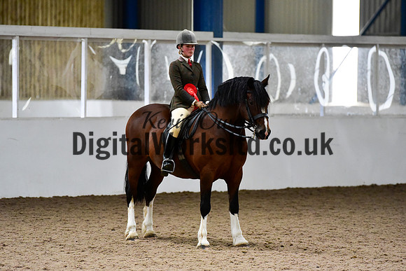NECWPCA-SUMMER-WELSH-SILVER-MEDAL-SHOW (83 of 92)